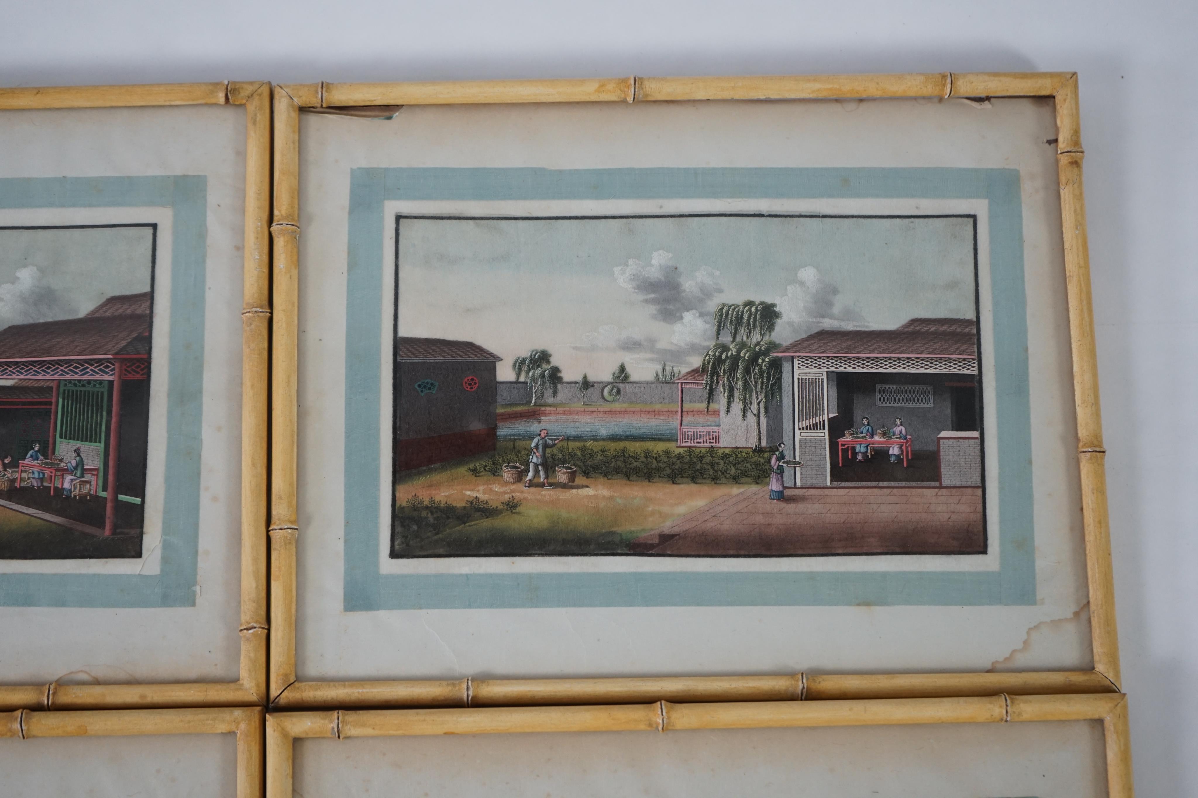 A set of twelve Chinese gouache paintings on pith paper of tea production, circle of Tingqua c.1840